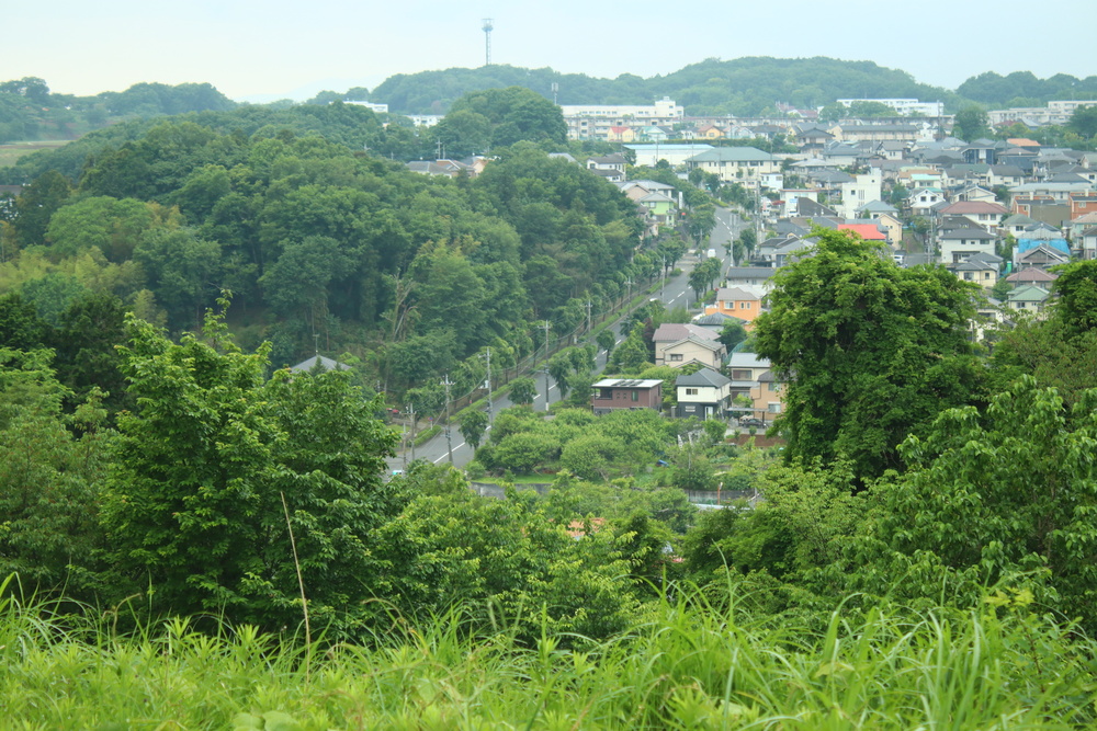 町田市の相続不動産売却｜知るべき「がけ条例」と最短7ステップ